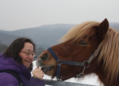 Foto Daniela lernt Pferd kennen